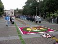 00 - Infiorata 2008 (15)